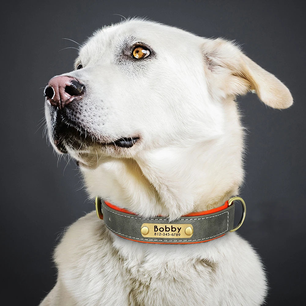 Leather Dog Collar