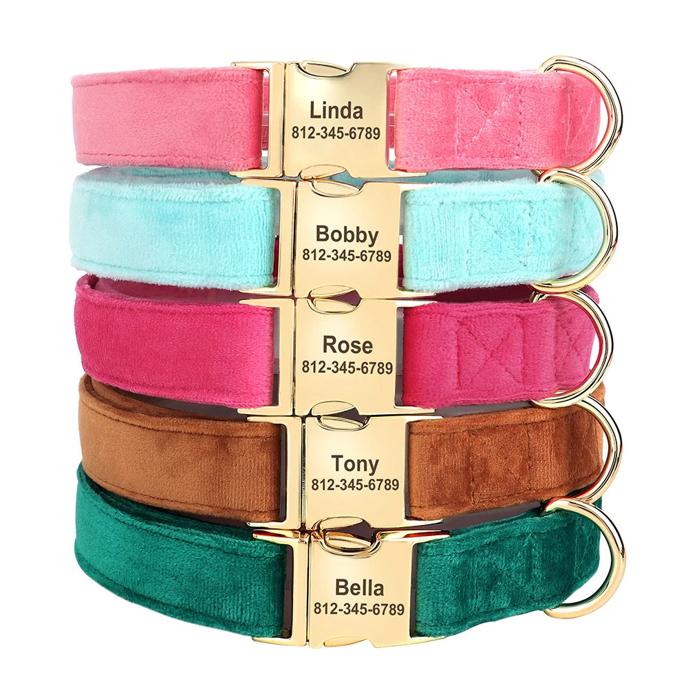 Velvet Dog ID Collar