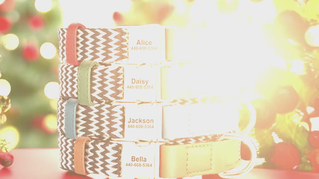 Nylon Dog Collar with Anti-Loss ID Tag